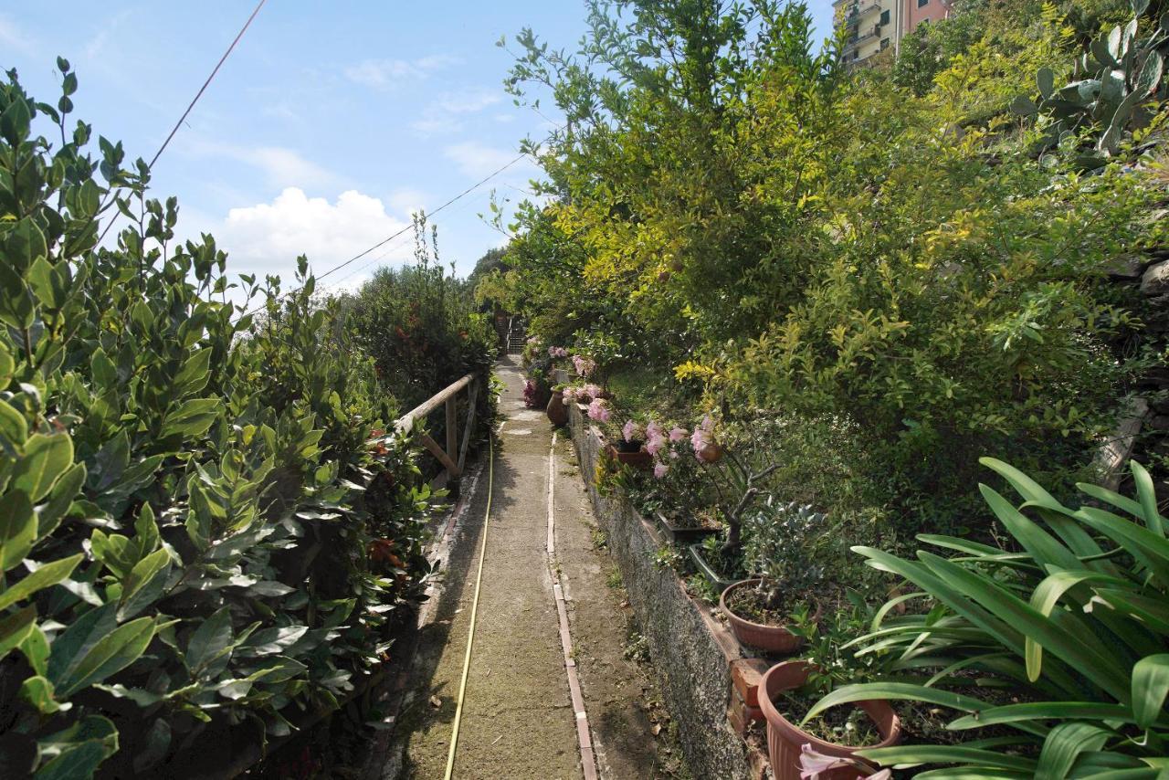 Villa Lardarina Corniglia Exterior photo